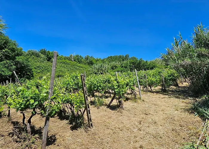 Casa vacanza: Poderi Lenzi